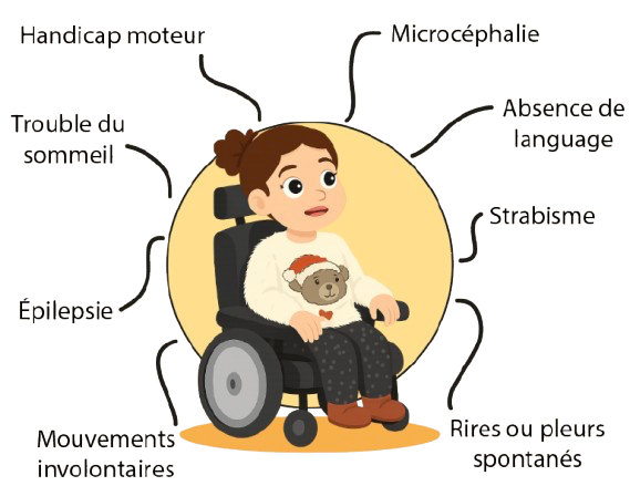 Joanna en fauteuil illustrée avec ses symptômes